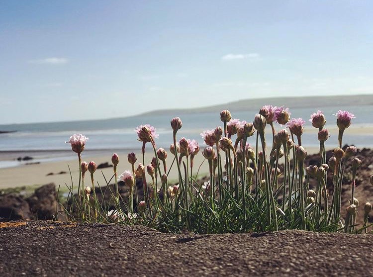 Photo by Eimear Fitzgearld _Cork Uplifting News Summer Solstice GoodDayNews