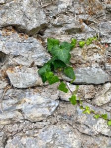 Pathways Pilar Miramontes Villarreal